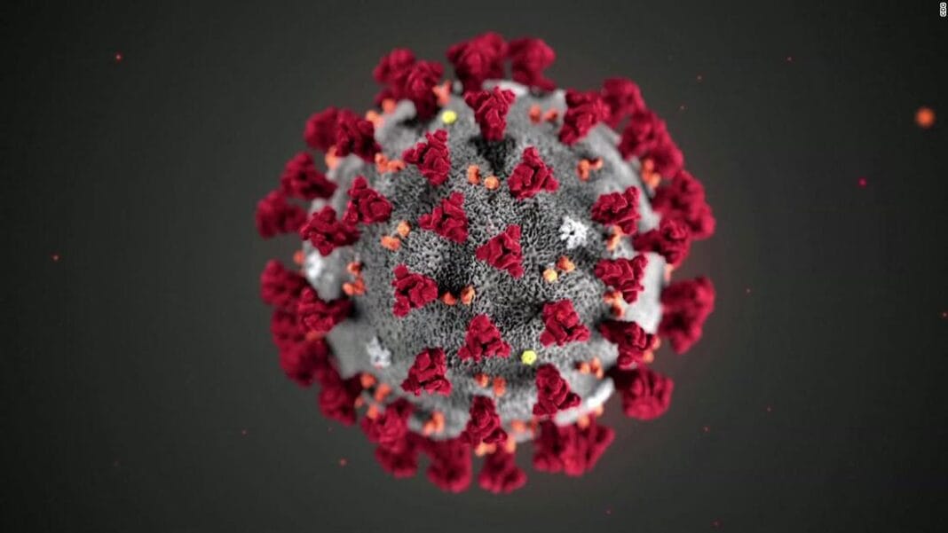Indian subcontinent could be place of origin of the coronavirus not Wuhan: Chinese scientists