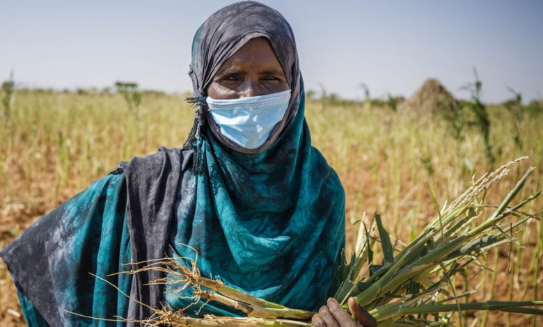 Amidst the health crisis, globally, nations battle the hunger crisis: UN Report