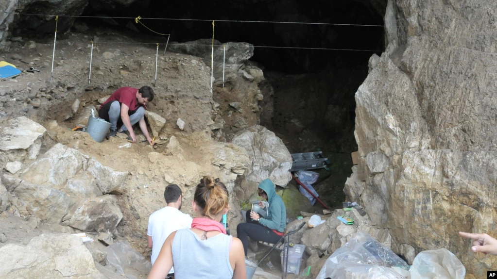 Neanderthal Family Remains Found In Siberian Cave Revelations About   013b0000 0aff 0242 A607 08dab2c45767 Cx0 Cy10 Cw0 W1023 R1 S.webp