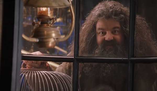 Harry Potter’s Hagrid no more