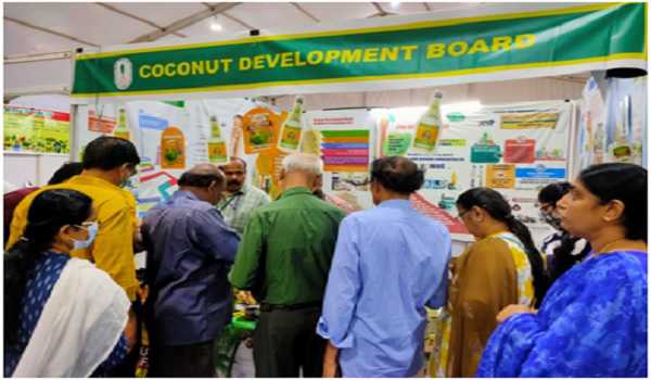 India’s coconut export touches 3,236.83 cr, records 41pc increase