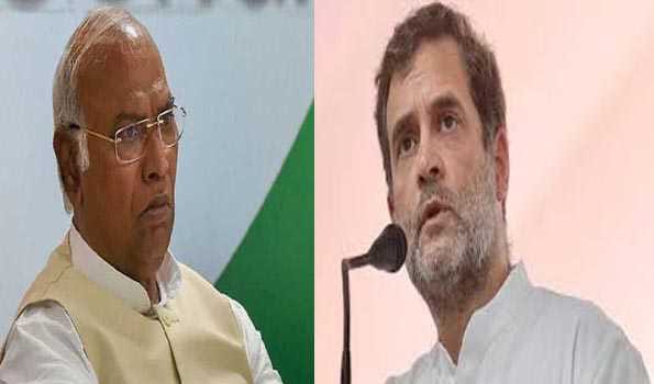 New Cong Prez will decide my role in party : Rahul