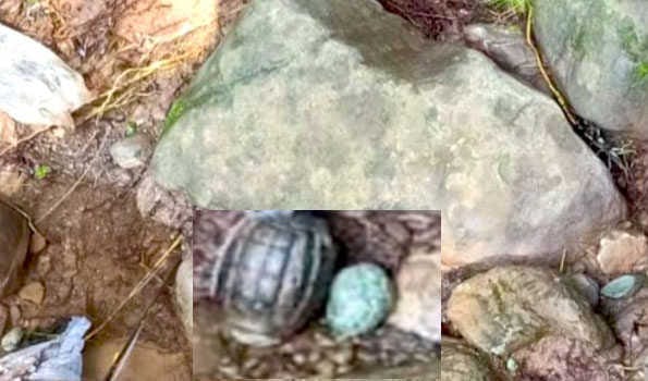 Grenade found in Poonch