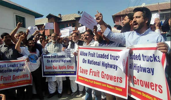 Kashmir’s apple industry in doldrums, as hundreds of trucks halted along Sgr-Jam highway