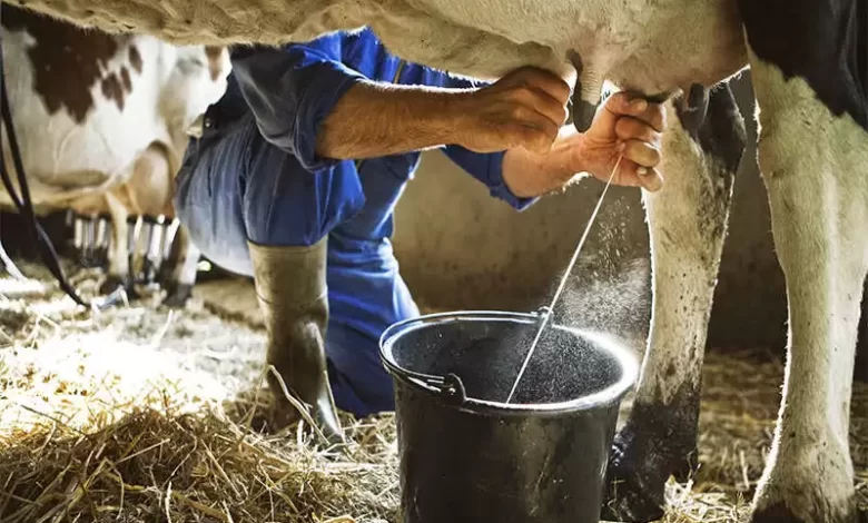 5 out of 200 milk samples in Jaipur potable, sugar-palm oil being mixed
