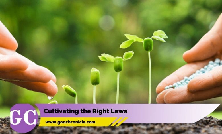 Cultivating the Right Laws