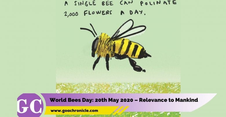 World Bees Day: 20th May 2020 – Relevance to Mankind
