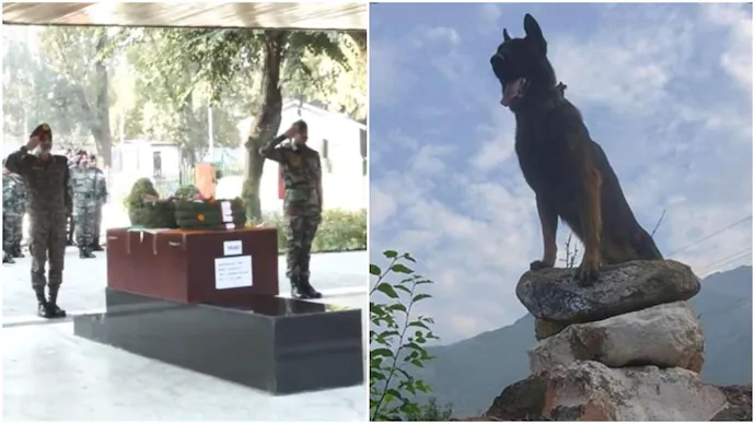 Army pays tribute to canine soldier