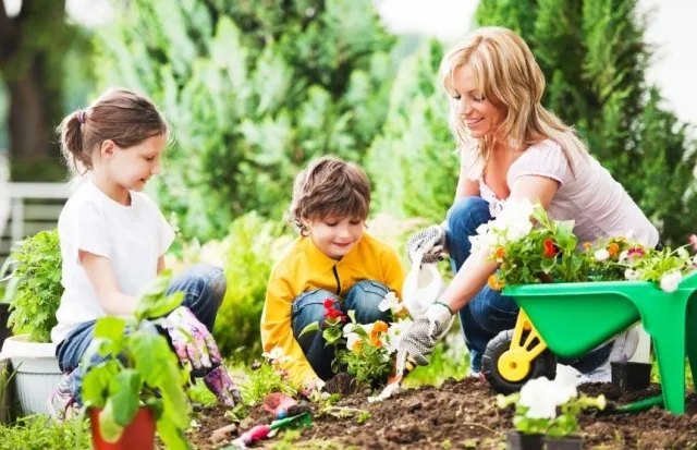 ‘Plant blindness’ among urban people becomes rampant