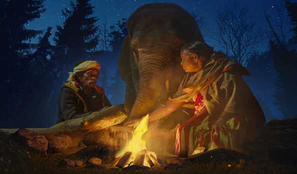 Netflix to air ‘The Elephant Whisperers’ on Dec 8