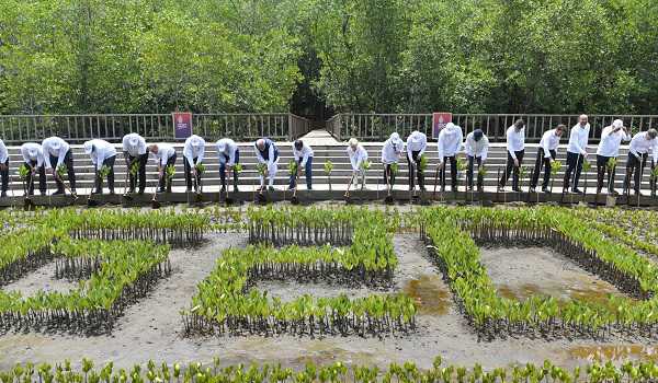 PM, other G-20 leaders visit Mangrove forests
