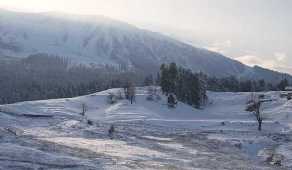 Srinagar experiences first coldest night of season