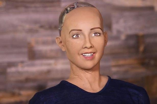 Robots will soon speak, walk like humans, will become companions
