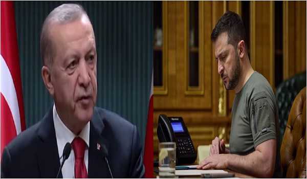 Presidents of Türkiye, Ukraine discuss expanding scope of grain deal