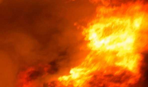 Chile battling 8 forest fires, 25 others contained