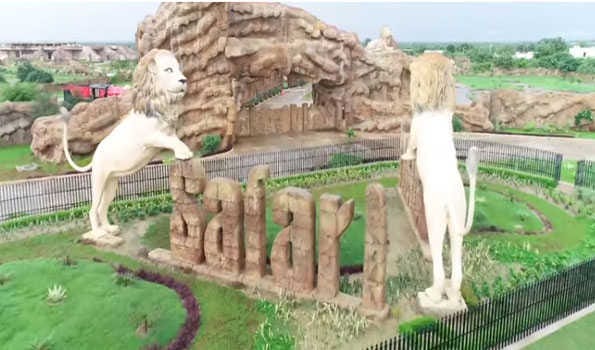 Social media to attract tourists to Etawah Lion Safari