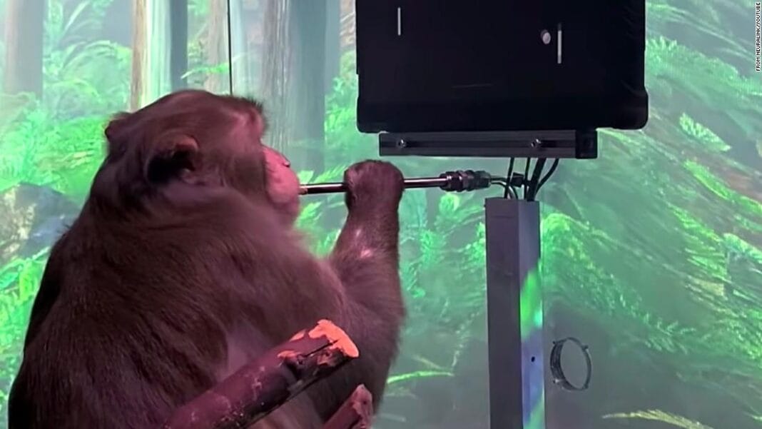 Animals die while getting chip implanted in brain, Elon Musk’s company under legal gaze