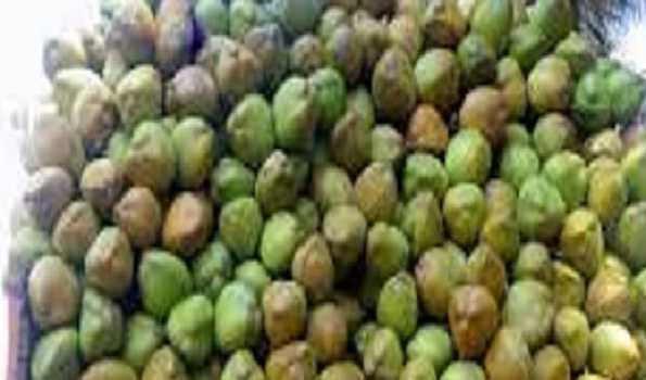 India accounts 31 pc of global production of coconut