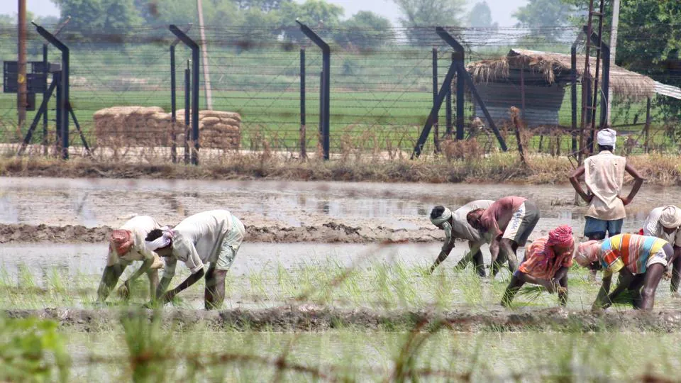 Farmers’ land on Indo-Pak border to be freed from fencing