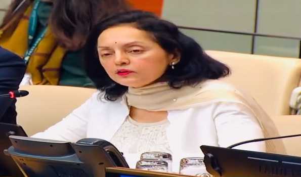 ‘Frozen’ UNSC in danger of becoming more non-functional: India