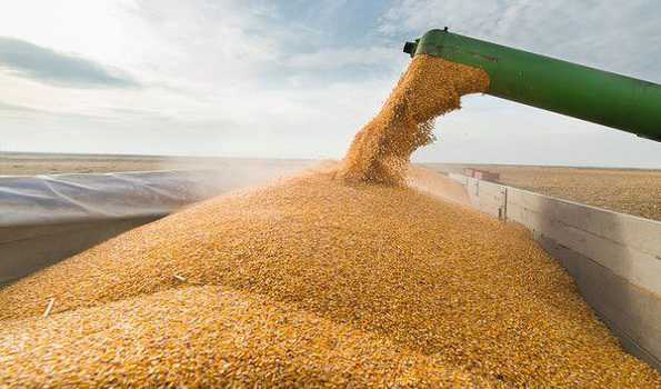 Negotiations to extend grain deal hit deadlock, no clarity – Source