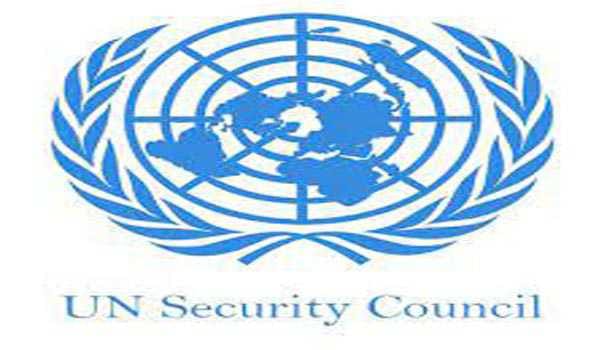 UN Security Council delegation to assess security in DR Congo