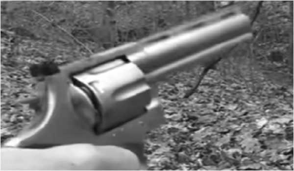 Two persons killed, one injured in firing incident in Satara Dist
