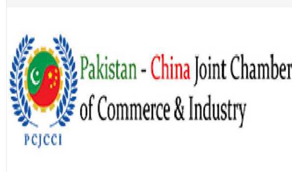 Pakistan can promote e-commerce with support of Chinese companies ...