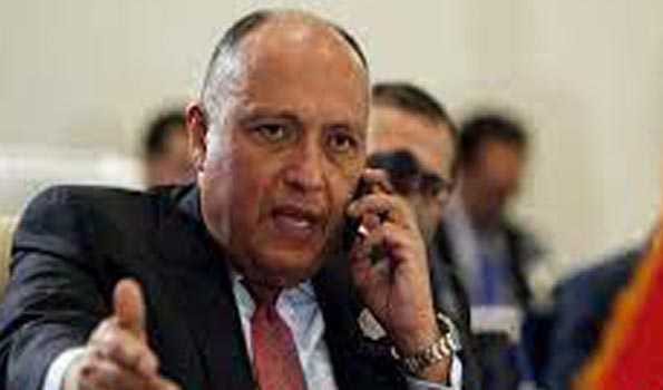 Egyptian FM calls for end to terrorism, foreign interference in Syria