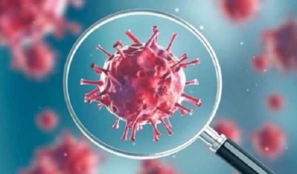 First cases of new Covid Arcturus variant detected in Russia – Watchdog