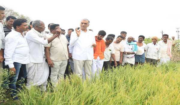 Telangana Govt to provide financial aid to farmers for crop loss : Minister