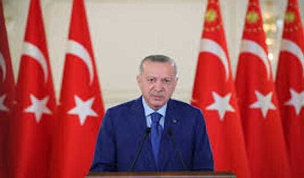 Alliance led by Erdogan’s party wins majority in Turkish parliament
