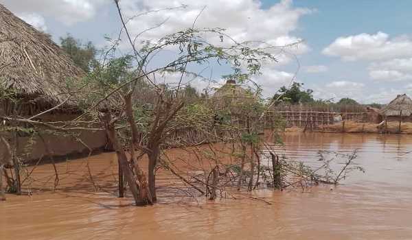 Floods kill more than 80 people in parts of Ethiopia: UN agency