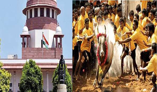 Five-judge Constitution bench of SC in its verdict affirms TN law allowing Jallikattu