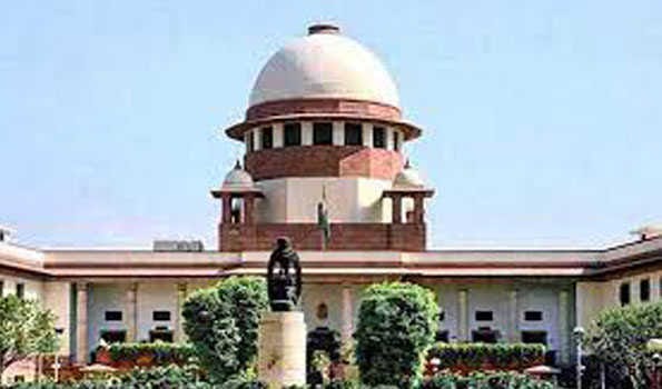 HP: SC allows felling of Khair trees on state land