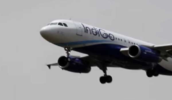 IndiGo scales up international operations, lines up 174 weekly flights