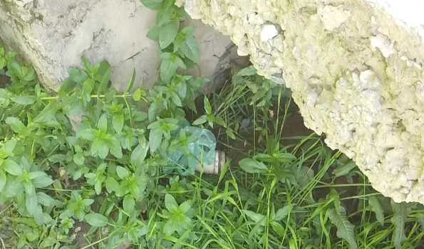 BSF recovered IED, averted a major tragedy in Handwara