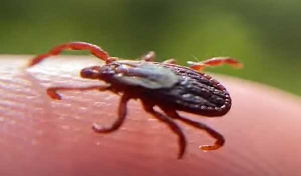 2023_6$largeimg24_Jun_2023_095107223
