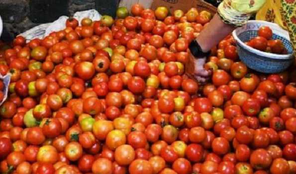 Centre directs NAFED, NCCF to procure tomatoes amid its sky rocketing prices