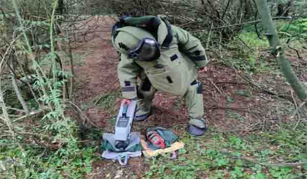 Two IEDs recovered from Wodhpura forest: Police