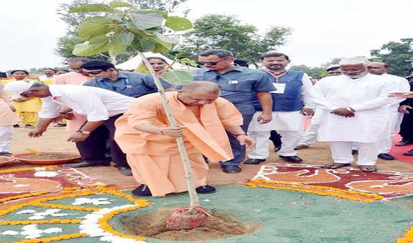 Yogi kicks off massive plantation drive, plants Kalpavriksha sapling