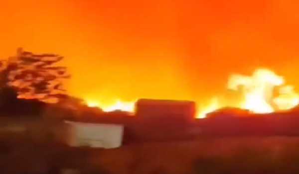 Death toll from Algeria’s wildfires rises to 34