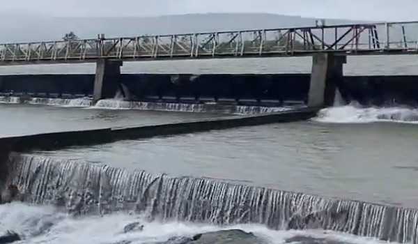 Radhanagari irrigation dam overflowed: Irrigation dept