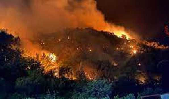 Wildfires, extreme weather grip Italy