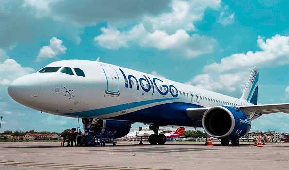 IndiGo commences direct flights to Abu Dhabi & Jeddah