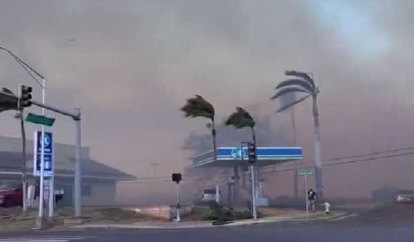 Death toll from US Hawaii wildfire rises to 67