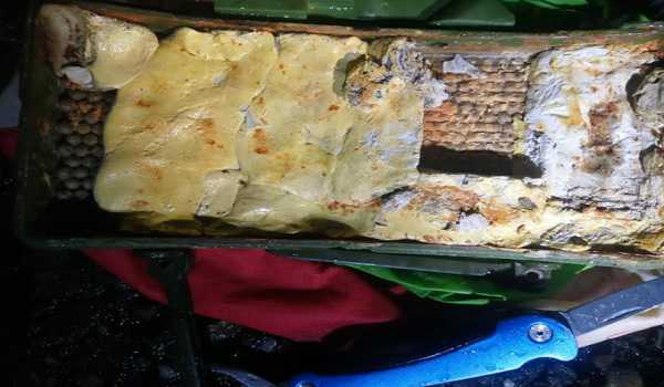 IED found on NH in Jammu’s outskirts, destroyed