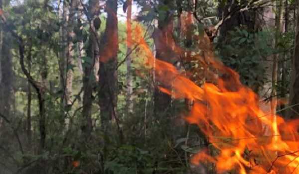 Large parts of Australia to face higher bushfire risks in spring