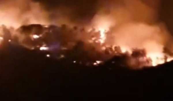 Wildfires burn 60,000 hectares in Italy this year: Industry association