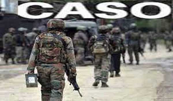 CASO launched after suspicious movement seen in J&K’s Poonch